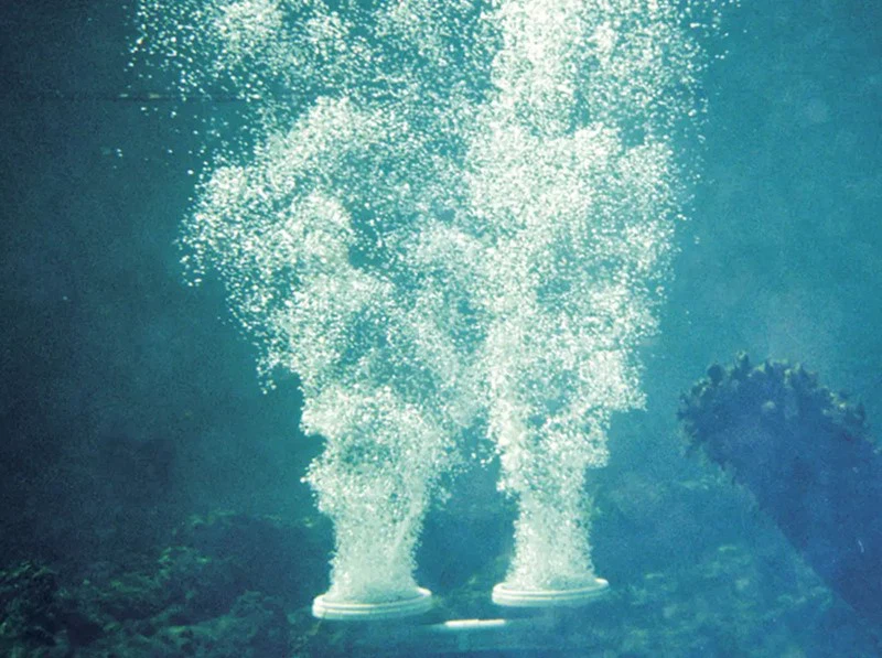 Definition And Principle Of Bottom Diffused Aeration Definition And Principle Of Bottom Diffused Aeration